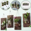 Vases Wall Hanging Propagation Station Wooden Base Wall Planters Hydroponics Flower Vase Garden Decor with Glow In The Dark Pebbles