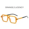 Retro Double Bridge Womens Solglasögon Fashion Leopard Sun Glasses Trendy Street Wear Mens Shades UV400 Eyewear LDD240313