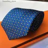 Neck Ries 2023 Brand Men Ties ٪ Silk Jacquard Classic Resived Fashion Necktie for Men Wedding Disual and Business Neck Tie مع Box L240313
