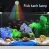 Lightings Aquarium Light 360Gree Rotation USB Fish Tank Lamp Aquarium Accessories for Turtle Tank Fish Tank Aquarium vardagsrum