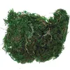Decorative Flowers Artificial Moss Lichen Simulation Fake Green Plants For Patio Decoration (20g/Small Pack) Grass Roll Moos