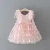 Mädchen Kleid Baby Mädchen 3D Schmetterling Kleider Prinzessin Spitze Tutu Kleid 2024 Neue Kinder Geburtstag Party Tragen 1-7Y Rosa Weiß Farbe Knielange Kleider für Mädchen