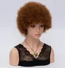 MSIWIGS Bayan Kısa Kükürük Kıvırcık Afro Peruklar Koyu Kahverengi Sentetik Saç Peruk Amerika Afrika Cosplay Wigs5318148