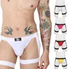 Mutande Fetish Uomo Lingerie BDSM per gay Vita bassa Slip sexy Imbracatura Hollow See Through Biancheria intima senza cuciture Perizoma erotico in cotone elastico