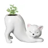 Fioriere Creativo simpatico gatto coda post vaso in ceramica transfrontaliera cartone animato animale creativo succulente coda di scimmia vaso da fiori cactus