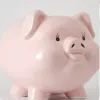 Boxes Cute Wedding Money Box Coin Ceramic Secret Kids Saving Hidden Safe Pig Piggy Bank Pink Porcelain Storage Piggy Bank Adult Gift