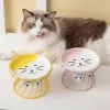 Forniture ciotola da gatto in ceramica in ceramica di guardia per alimentari di piede per alimenti poco profondi ciotola alimentare calibro calibro garfield garfield