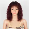 Short Pixie Bob Cut Human Hair Wigs with Bangs Jerry Curly Non Lace Front Wig Burgundy Color T1B/99J Colored Wigs for Women