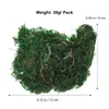 Decorative Flowers Artificial Moss Lichen Simulation Fake Green Plants For Patio Decoration (20g/Small Pack) Grass Roll Moos
