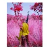 Richard Mosse Pography Painting Courtesy Of The Artist And Jack Shainman Poster Print Home Decor Framed Or Unframed Popaper 285i