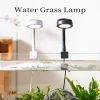 Éclairages Aquarium Mini Lumière LED Clip Pour Plantes Aquatiques Eau D'eau Douce Herbe Haute Luminosité Basse Température USB Lampes De Réservoir De Poissons