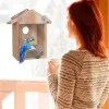 巣の青い鳥の家の木製窓鳥屋の耐候性の鳥の巣は、止まり木でデザインされた透明なリアを簡単に監視できるようにします