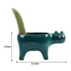 Jardinières 1pc créatif Succulent Pot de fleur en céramique mignon queue de chat personnalité dessin animé queue d'animal Saguaro Pot de fleur