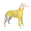 Cotton Italian Greyhound Clothes Whipple Clothes Dog Big Dog Clothes High Collar Dog Clothes 240307