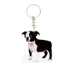 Boston Terrier Acrylic Dog Keyring Fashion Cute Charms Keychains Men Key Chain Ring Boyfriend Gift Gifts For Women Apparel215D