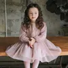 女の子のドレスストロベリーシャン韓国服フレンチスリーブチュールドレスLDD240313