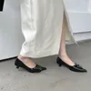 Scarpe eleganti 2024 Moda punta a punta Tacco basso Décolleté da donna Cintura con fibbia Superficiale Slip On Balletto elegante per la festa Mujer