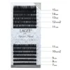 LAGEE High-Quality Faux Mink Individual Eyelash Extensions B C CC curl Dark Black False Eyelashes 12 Lines Soft Natural Lashes 240301