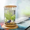 1PCS Mini Glass Bamboo Base Tank Rotate Decoration Fish Bowl Ecological Bottle Aquarium Accessories2012