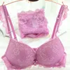 Womens underwear Set Lace Sexy Pushup Bra And Panty Sets Bow Comfortable Brassiere Young Adjustable Deep V Lingerie 240320