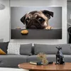 モダンな大規模なキャンバスペインティング面白い犬のポスターウォールアート動物絵HDリビングルームの寝室の装飾のための印刷2459