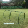 Greenhouses 120x60x60Mini Gewächshaus tragbares Sämlings -Gewächshaus mit Reißverschluss Türen mit PVC -Abdeckung Outdoor Tragbarer Gartenhausgarten im Freien