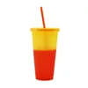 Tumblers Practical Discoloration Cup No Odor Color Changing Cold With Lid Straw Food Grade Plastic Water For Kitchen