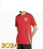 EURO 2024 País de Gales casa Grécia camisas de futebol 2023 24 Copa Europeia Suécia camisas de futebol seleção nacional camisa vermelha camisa de futebol amarela