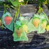 Sacs 100 pièces raisin Protection fraise fruits sacs Anti oiseau jardin antiparasitaire sacs maille litchi cerise sac planteur sacs de culture