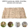 Gaiolas artesanais almofada coelho molar grama brinquedo coelho grama almofada hamster planta palha gaiola cama esteira para cobaia pet gaiola acessórios