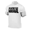 T-shirt da uomo Animal 3D Print T-shirt da uomo 2021 Nuovo arrivo Top Fashion Felpe T-shirt Respirazione T-shirt Gluten Top Large Size Hot