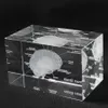 3D Human Anatomical Model Paperweight Laser Etched Brain Crystal Glass Cube Anatomy Mind Neurology Thinking Medical Science Gift 2278H