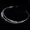 Hängen YP232 Luxury 925 Sterling Silver Zircon Chain Torques Piercing Choker Necklace A M Design for Women Gift Wedding Party Jewelry