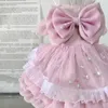 Lente Leuke Roze Prinses Jurk Voor Kleine Middelgrote Honden Chihuahua Yorkshire Hond Kleding Handgemaakte Katoenen Kant Strik Rokken 240305