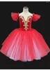 ステージウェア2024ブルーバレエスカート子供用ダンスロングパフォーマンスコスチュームガールスリングドレス