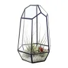 Jardinières Terrarium en Verre Géométrie Écosystème Fermé Intérieur Irrégulier Ouvert Pot de Fleur en Verre Maison Jardin Décoration de Table Conteneur