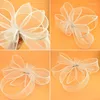 Hoofddeksels Unieke Fascinators Hoed Mooie Hoofddeksels Mooie Elegante Strik Haarclip Opvallend