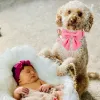 Collari Personalizzati Stile Unico Zampe Collare per cani rosa con papillon Collare per cani Airtag per collare per animali domestici da matrimonio per cani di taglia piccola, media e grande