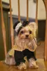 Hundkläder husdjurskläder kappa trenchrock för Yorkshire terrier dachshund doberman liten brittisk stil cape windbreaker leveranser
