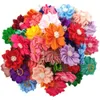 Dog Apparel Flower 50pcs Cabelo de pet Bandos de borracha com pérolas Floret Browsgoming ProductScute Gift191i