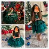 Girl's Dresses Toddler Baby Dress Big Bow Baptism Dress for Party Dress Baby Clothes Fluffy ldd240313