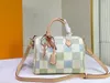 Designer Women Messenger Shopping Strand Fashion beroemde hoogwaardige onderarm schouder dames tote dh tas portemonnee