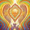 poster 32x24 17x13 Trippy Alex Grey Wall Poster Print Home Decor Wall Stickers poster Decal--052296y