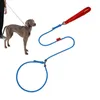 Hundhalsar Pet Walking Traction Rope Leads P Dogleash Outdoor Training Reflective Leasches Justerbart dubbelhandtag för