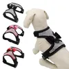 Collares para perros Correas Ajustable Pet Puppy Bow Arnés Collar Correa para perros pequeños medianos grandes Animales Caminando Correa de mano Etiqueta Sup2855