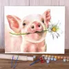 Kit de peinture à l'huile avec numéros de cochon Animal, coloriage par numéros, images sur toile 50x70, faites à la main pour adultes, Art mural, vente en gros
