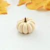 Fiori decorativi Proppetti di decorazione per feste familiari liscio e duro 8 opzioni forniture Pumpkin Model 100g