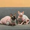 Vêtements vêtements pour animaux de compagnie pour Sphynx coton chat hiver chaud luxe chiot chaton pull rose bleu imprimé léopard doux manteau vêtements fourrure sweats à capuche