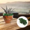 Dekorativa blommor Artificial Moss Lichen Simulation Fake Green Plants for Patde Decoration (20g/Small Pack) Gräs Roll Moos