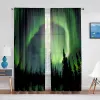 Cortinas Aurora Boreal Sheer Voile Cortinas Lindas Maravilhas da Natureza Padrão para Sala de estar Quarto Cozinha Janela Cortinas de tule